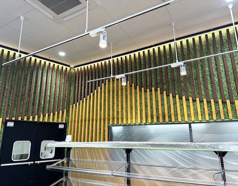 株式会社　アルトラ　広告代理　印刷　販売　促進　デザイン　チラシ　名刺　パンフレット　会社案内　のぼり　看板　サイン　パネル　ポスター　POP　写真　撮影　ホームページ　HP　電飾　フライヤー　DM　はがき　静岡　清水　横砂　袖師　ウルオス　アストラ　ウルトラ　人工芝　安い　安価　高品質　サッカー　岡崎慎司　エスパルス　ボスコヴィラ　久保田　潤　くぼた　じゅん　もつカレー　sales promotion artra センス　おしゃれ　nanairo JA　農協　きらり　アンテナショップ　食鮮館　タイヨー　バロー　マム　タカラ　エムシー　飲食店　メニュー　カッティング　桜が丘　スポーツアカデミー　SCHS　陸上　クラブ　シール　ステッカー株式会社　アルトラ　広告代理　印刷　販売　促進　デザイン　チラシ　名刺　パンフレット　会社案内　のぼり　看板　サイン　パネル　ポスター　POP　写真　撮影　ホームページ　HP　電飾　フライヤー　DM　はがき　静岡　清水　横砂　袖師　ウルオス　アストラ　ウルトラ　人工芝　安い　安価　高品質　サッカー　岡崎慎司　エスパルス　ボスコヴィラ　久保田　潤　くぼた　じゅん　もつカレー　sales promotion artra センス　おしゃれ　nanairo JA　農協　きらり　アンテナショップ　食鮮館　タイヨー　バロー　マム　タカラ　エムシー　飲食店　メニュー　カッティング　桜が丘　スポーツアカデミー　SCHS　陸上　クラブ　シール　ステッカー　清水区　しみず　島田　サッカー　四季彩　ジェラート　＆　カフェ　きらり